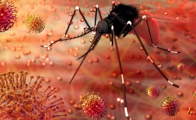 महाराष्ट्र में जीका वायरस का आगाज़ :पुणे में 50 साल की महिला हुई संक्रमित, केरल में अब तक वायरस के लपेटे में आ चुके हैं 63 व्यक्ति