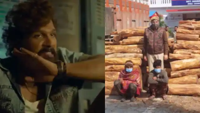 Video: मामू समझा है क्या, उत्तर प्रदेश पुलिस ने लकड़ीयों के तस्कर को पकड़ा, फिल्म पुष्पा की तर्ज पर बनाई 'पुष्पा', क्या आपने देखी?